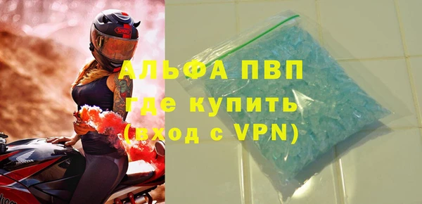 крисы Чердынь