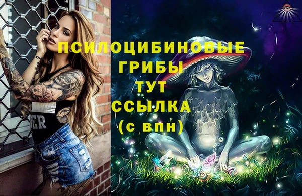 PSILOCYBIN Липки