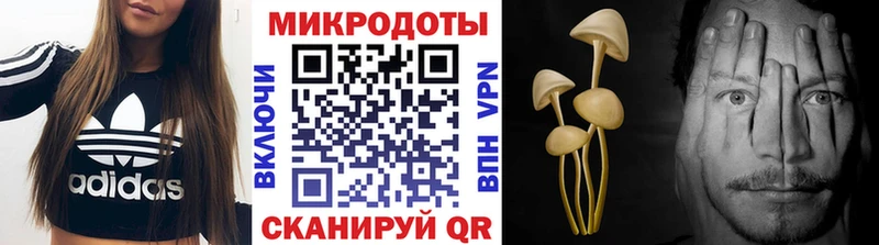 Галлюциногенные грибы мицелий  Берёзовский 
